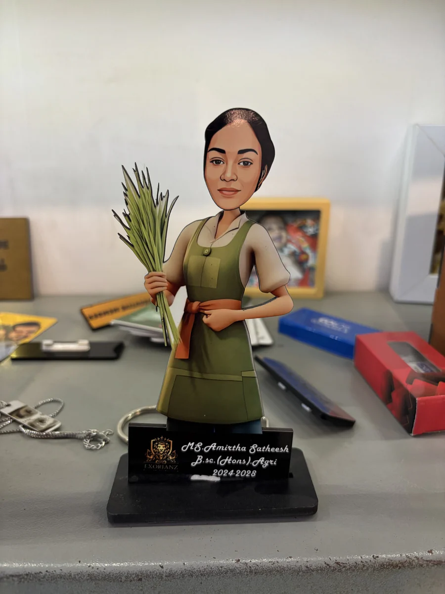 Customised Caricature for Adults