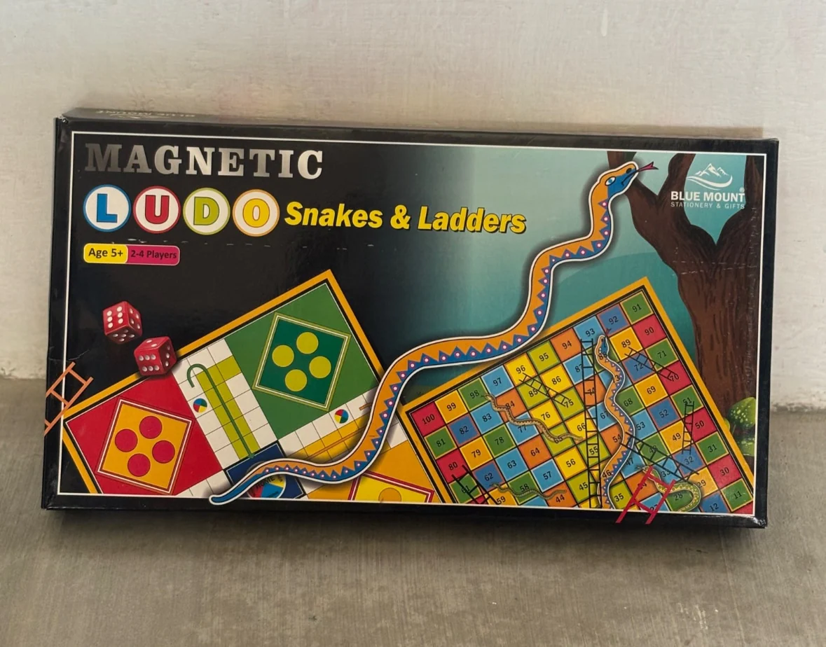 Magnetic Ludo – photo 3