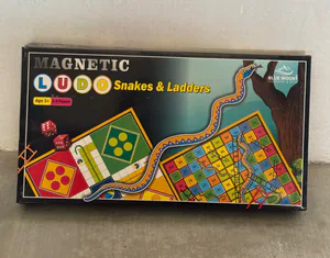 Magnetic Ludo – photo 3