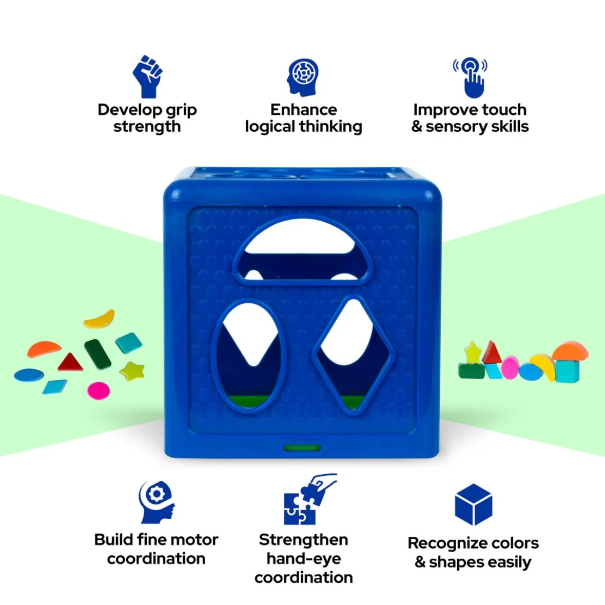 Shape Sorter (Plastic)