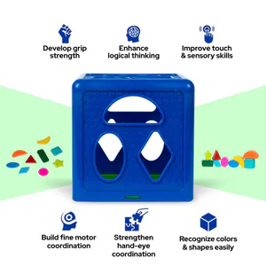 Shape Sorter (Plastic)