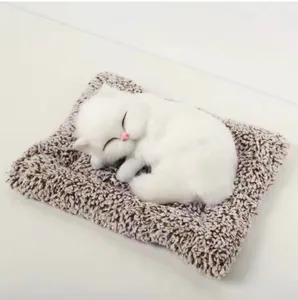 Sleeping Cat