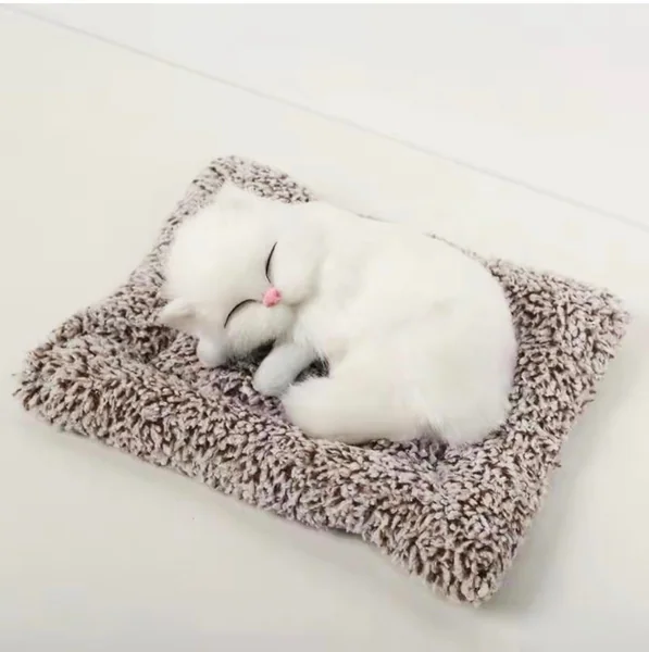 Sleeping Cat