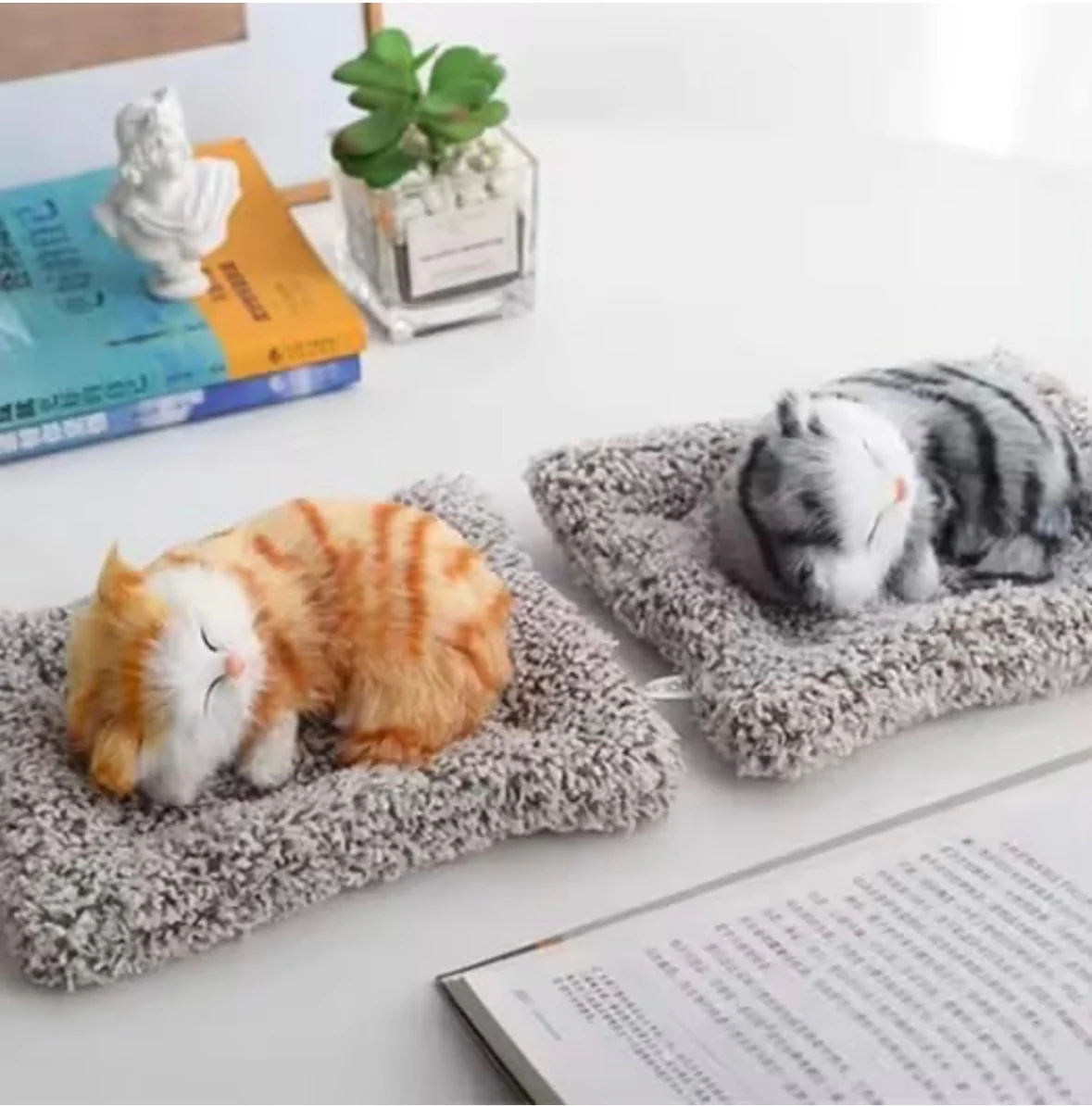 Sleeping Cat – photo 3