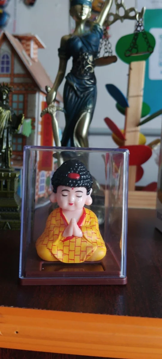 Solar Buddha – photo 2