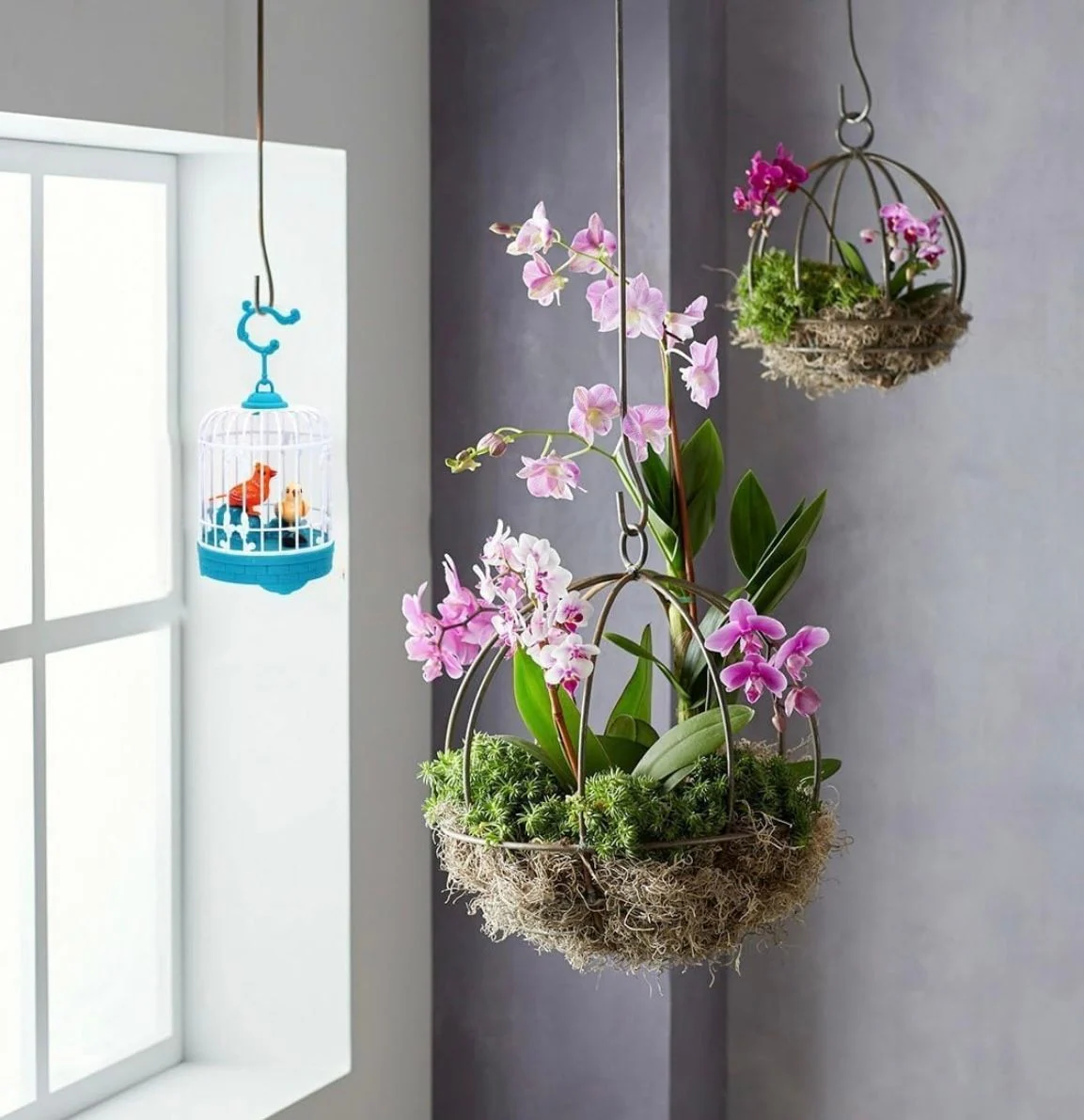 Talking Bird Toy – photo 5